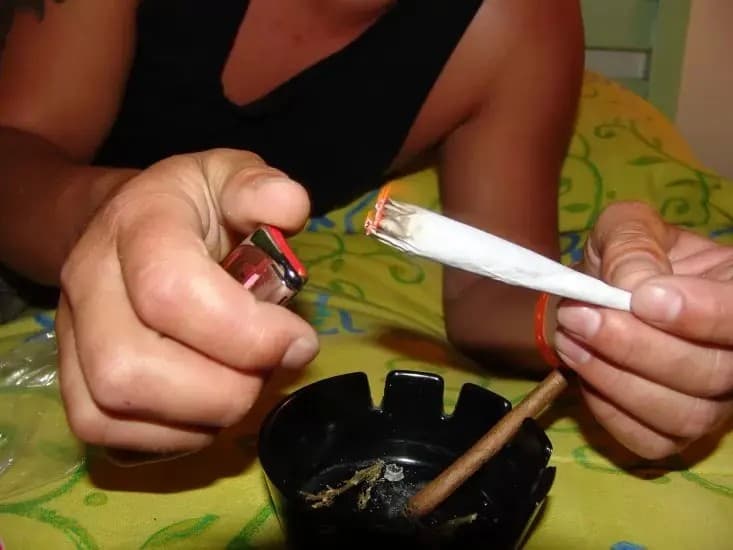 Aprueban ley que regular el uso lúdico de la mariguana en México