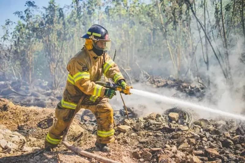 Pronostican devastadores incendios forestales en Nayarit y todo México