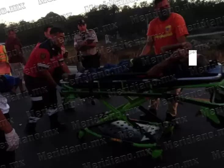 ¡fue atropellado en carretera 200!