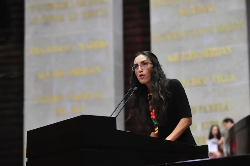 México. Presentan \"Ley Antichapulín\" en la Cámara de Diputados