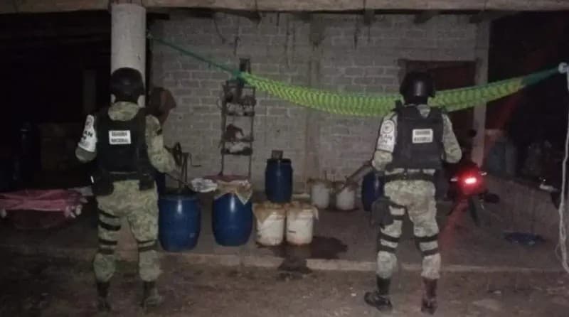 Sinaloa. Decomisan laboratorio clandestino de drogas en Elota