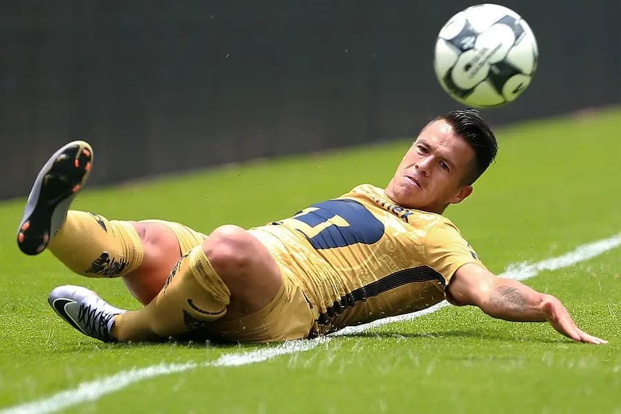 Marcelo Alatorre jugará en la LBM