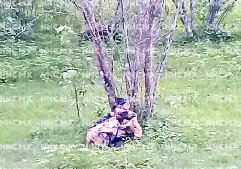 Localizan esqueleto humano