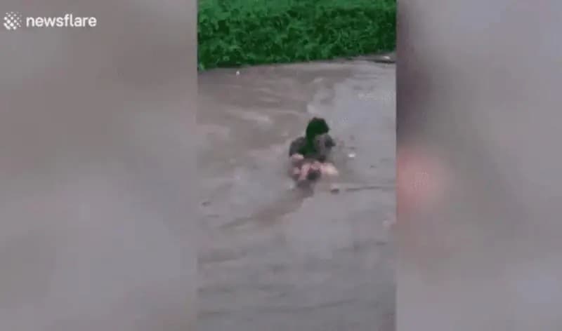 VIDEO: hombres salvan la vida de dos niñas en un río de Filipinas