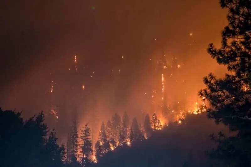 California. Ola de calor y relámpagos provocan fuertes incendios
