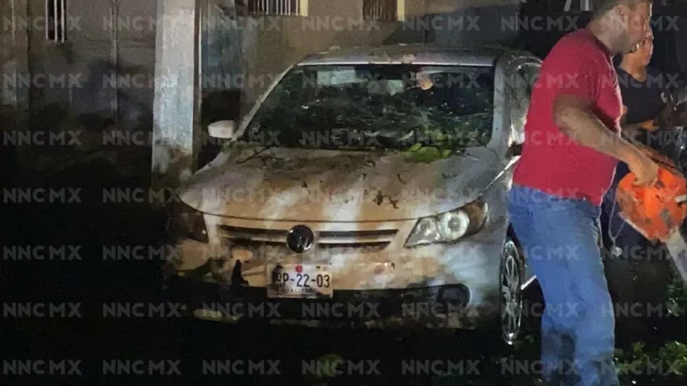 Puerto Vallarta: Árbol aplastó auto de Sigma en la Independencia