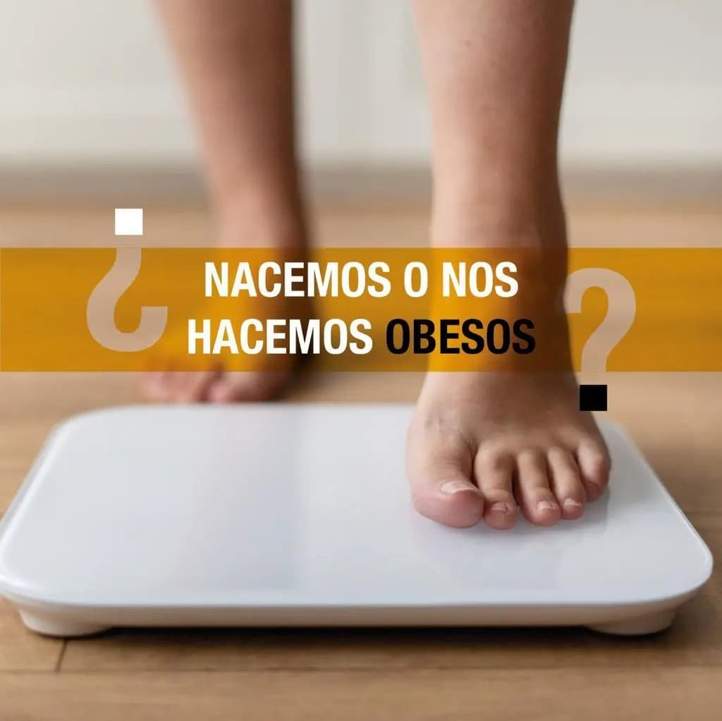 ¿Nacemos o nos hacemos obesos?