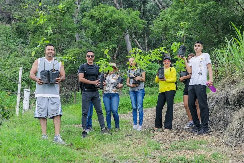 Plantan 5 mil arboles en el cerro de San Juan