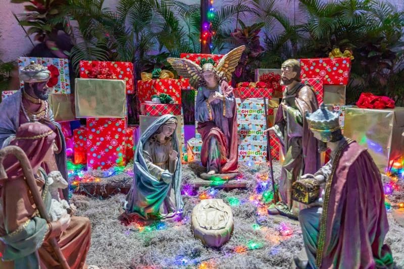 Enciende Seapal Vallarta su Tradicional Arbol de Navidad
