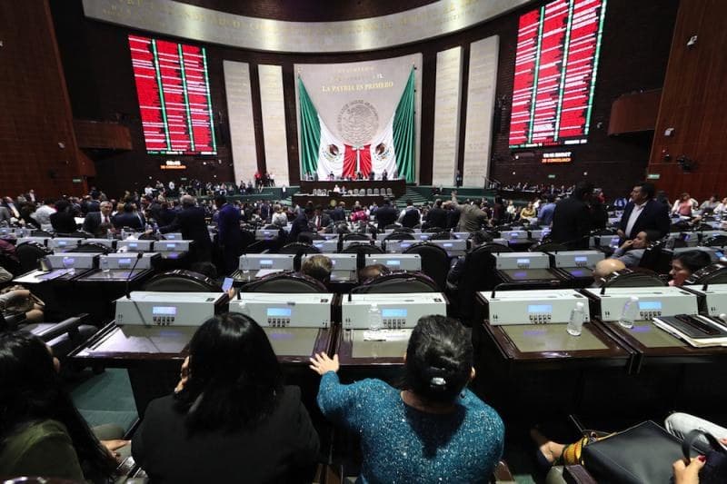 Plantean que Seguro Social incluya hermanos y nietos del asegurado