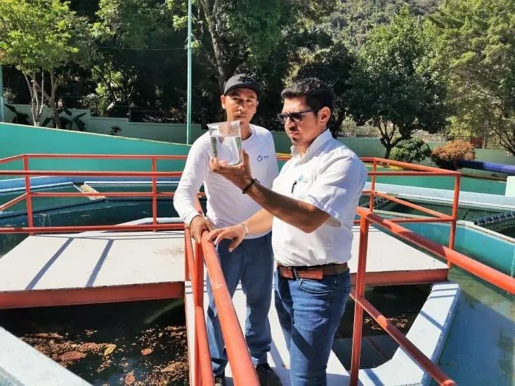 Procesos de SEAPAL, Fundamentales en Cuidado de la Salud de Vallartenses