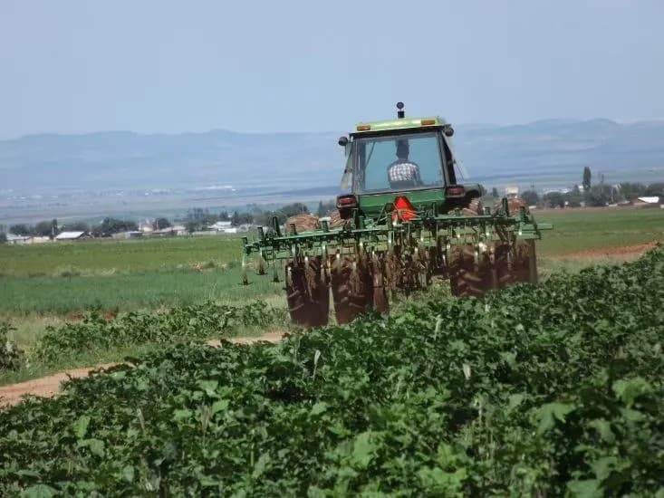 Proponen crear la Ley de Agricultura Familiar