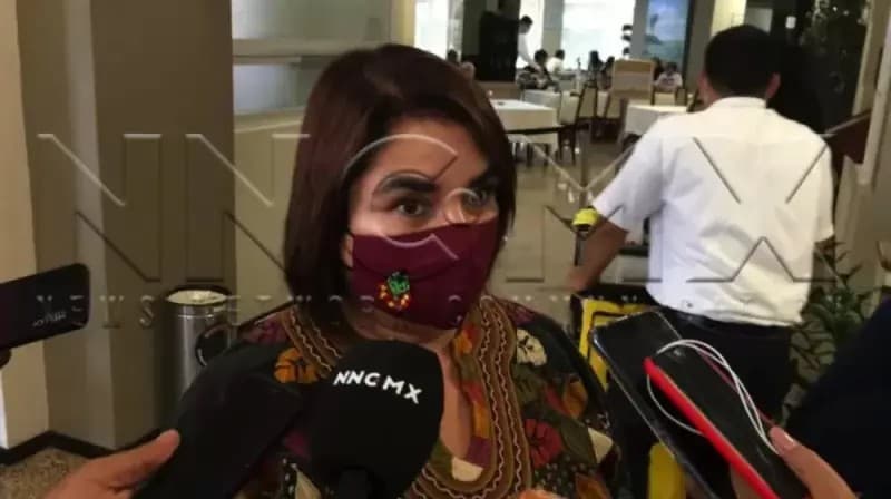 Candidaturas locales aún no están definidas en Morena: Delegada