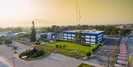 Jornada Académica Virtual: Estado de Derecho y Reconstrucción Democrática