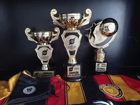 \"Real Telemática\", Campeón del 1° Torneo de la Liga Leones Negros