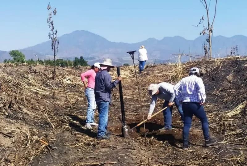 Tepic. \"Desde hace 5 años desapareció mi hermano, tenemos fe en que un día regrese\"