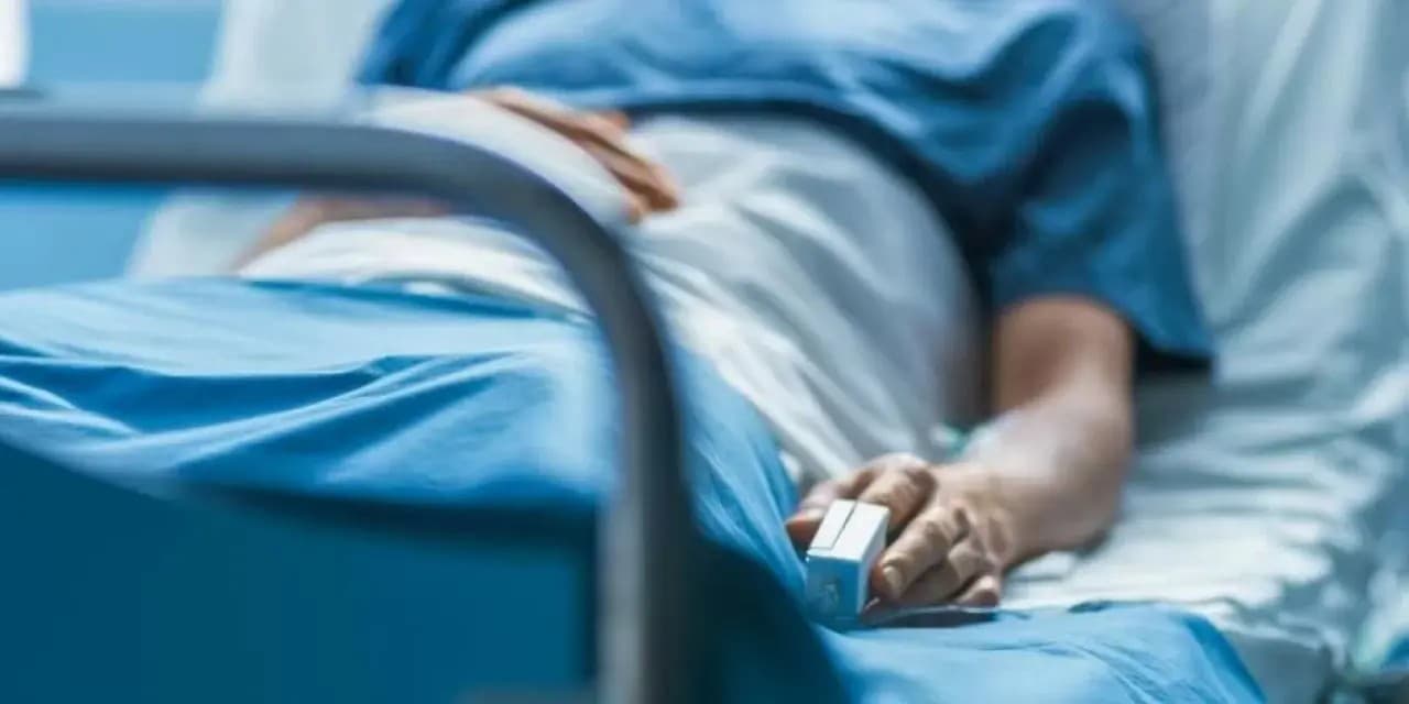 Confirman 4 casos sospechosos de rabia en Oaxaca y Nayarit