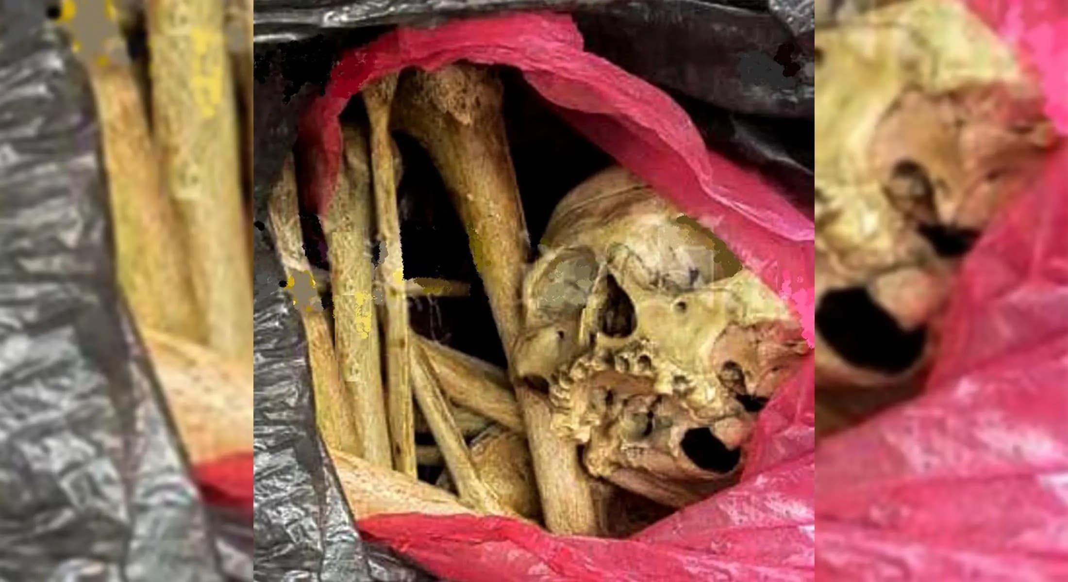 Descubren restos óseos en bodega de jurisdicción sanitaria de Tepic