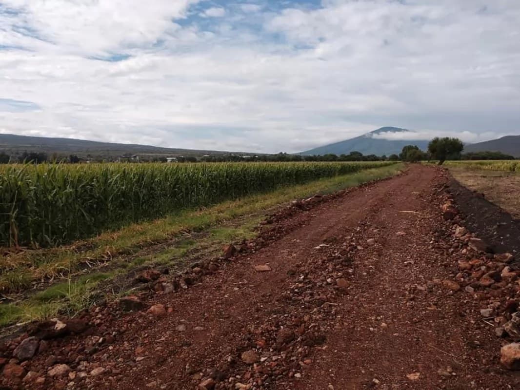 Urgen apoyo de maquinaria para productores en Tuxpan
