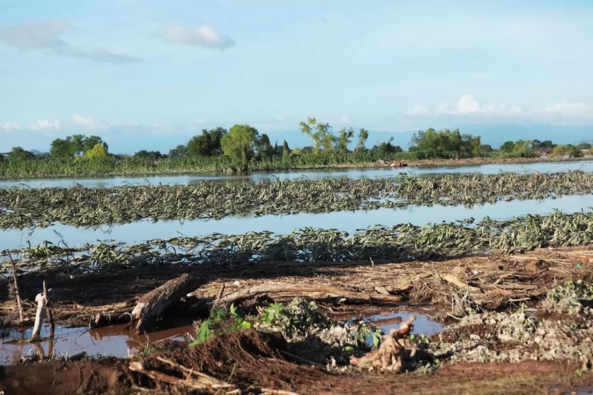 Garantizan seguro agrícola y rehabilitación de escuelas en Nayarit