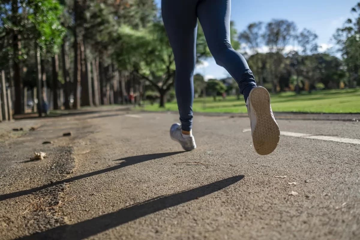 Proponen incentivos fiscales a quienes lleven una vida saludable
