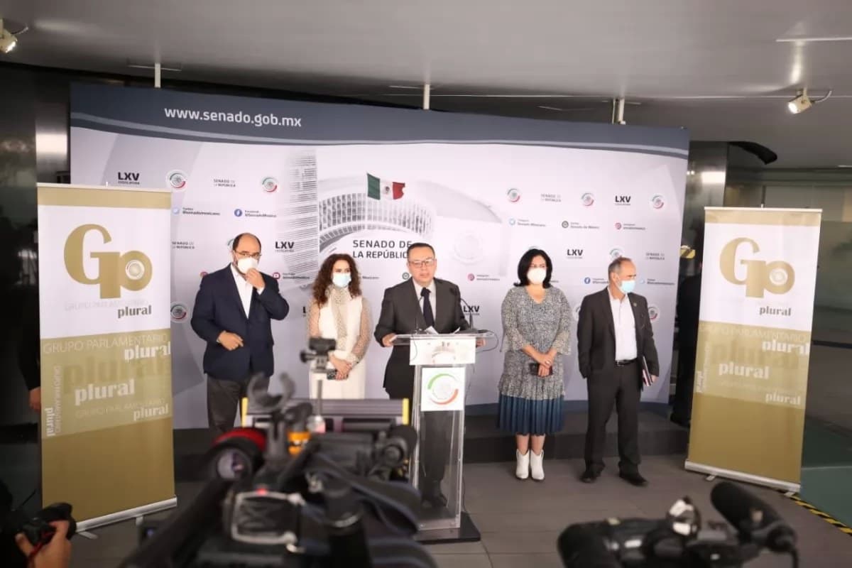 Grupo Parlamentario Plural no es reconocido por el Senado