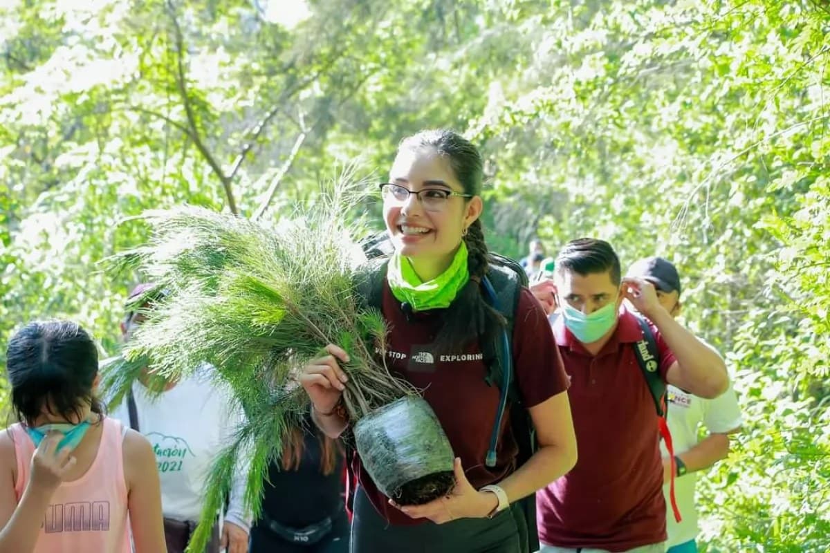 Inicia reforestación del San Juan, van 6 mil 500 pinos plantados