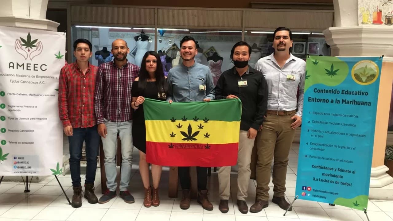 Promoverán industria del cannabis en la zona rural de Nayarit