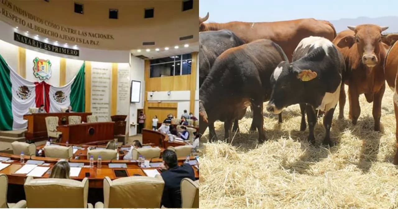 Ganaderos de Nayarit mejorarán su economía