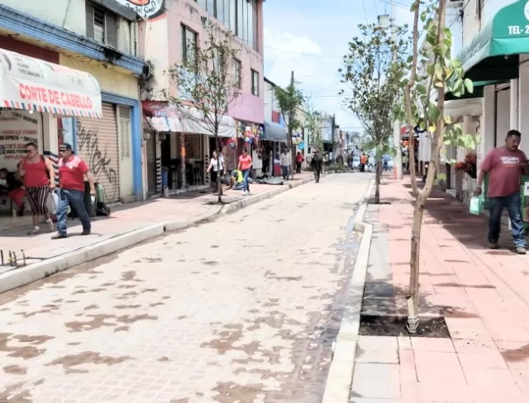 Incrementan los micronegocios en Nayarit