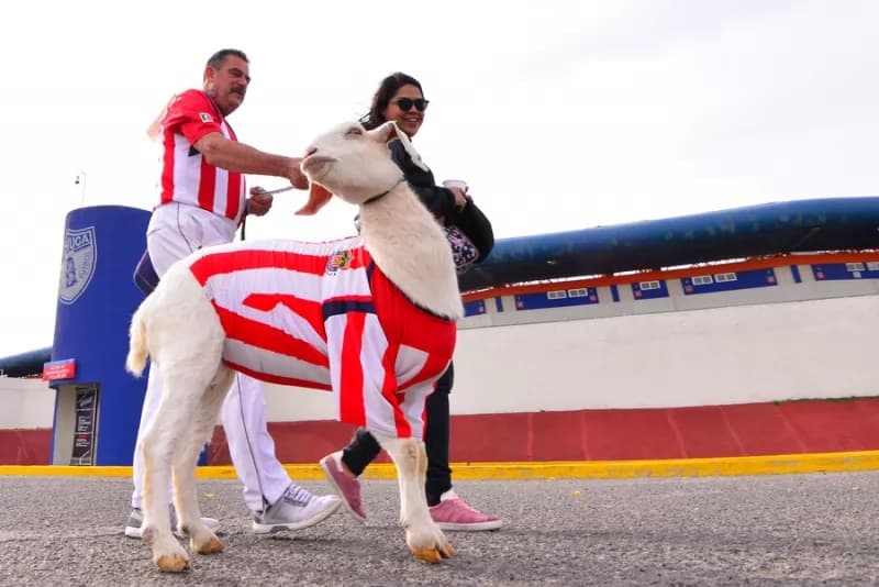 Chivas pone transferibles a 13 futbolistas