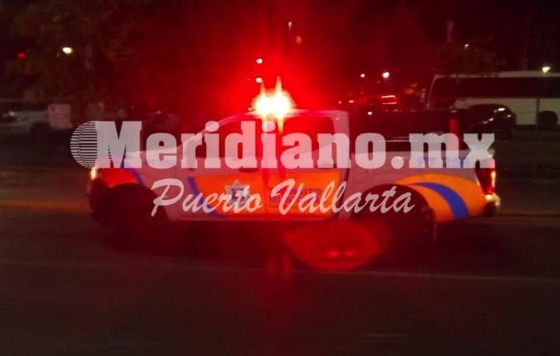 Frente a plaza marina… ¡capturaron un cocodrilo!