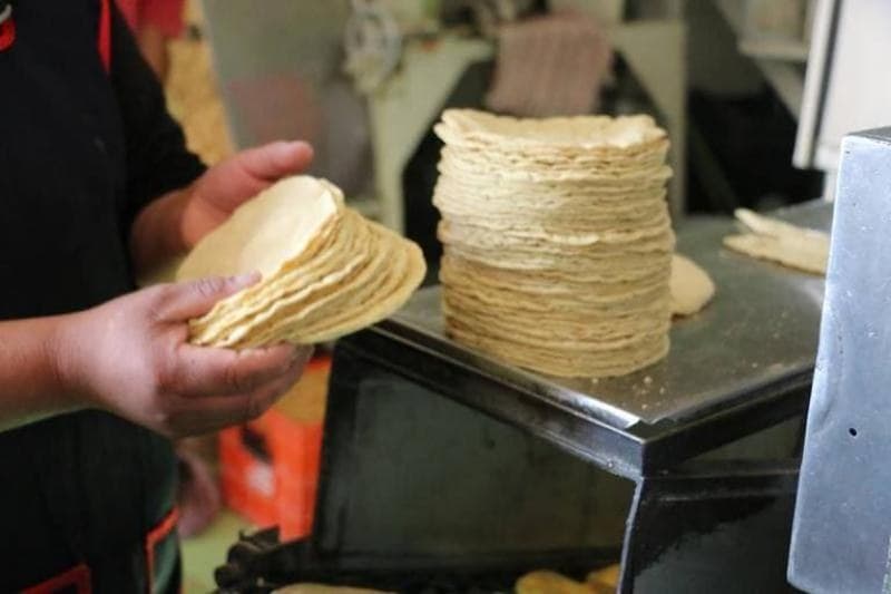 Cofece sancionará quienes incremente precios de la tortilla