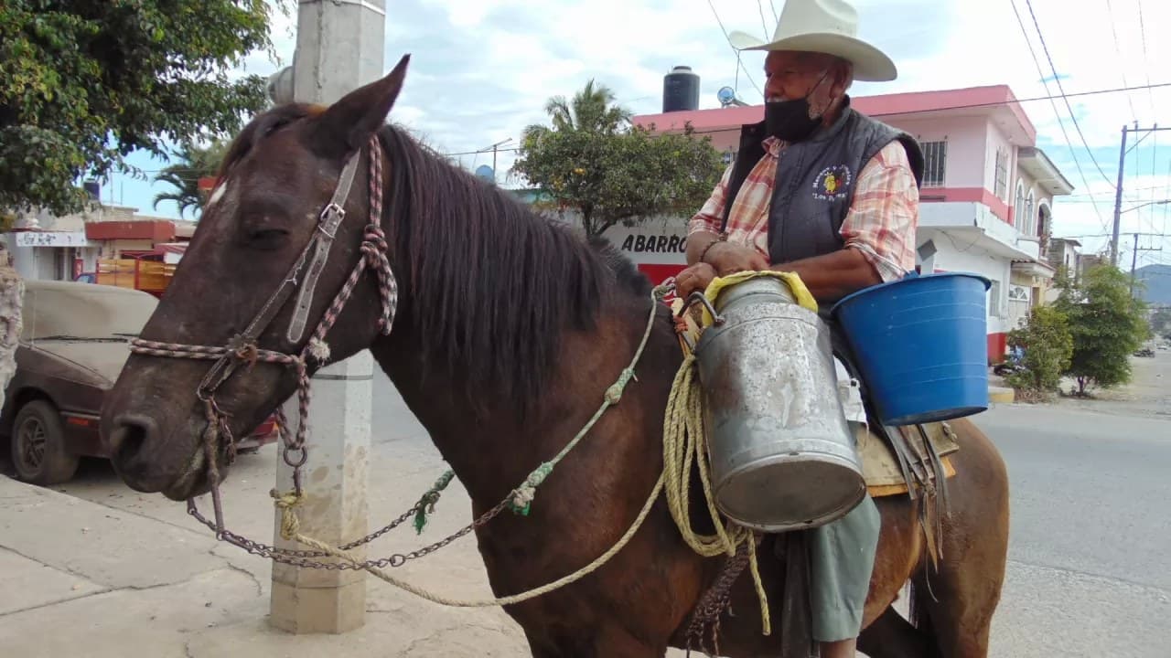 Mantienen viva la tradición de vender leche a caballo en Tepic