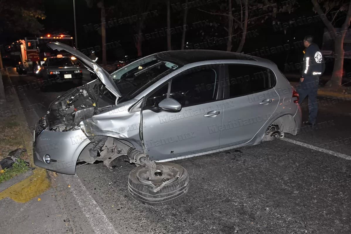 Firulais provoca accidente frente al nuevo CREE