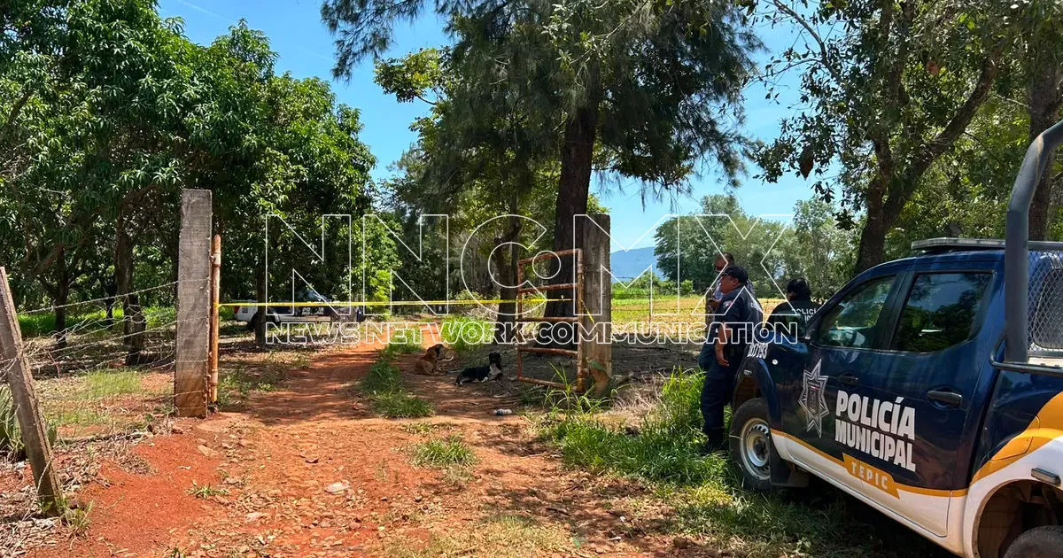 Muere hombre por picadura de abejas en predio rural de Tepic, Nayarit