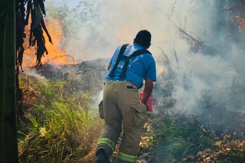 Bomberos del estado combate fuego en colonia Buenos Aires