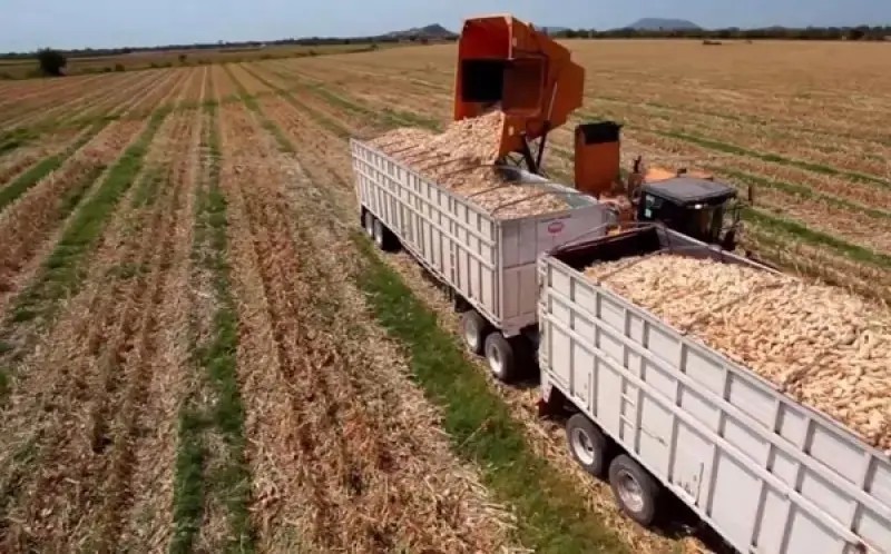 La tradición de vivir sin trabajar