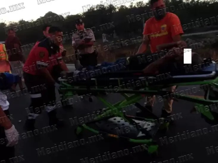 ¡fue atropellado en carretera 200!