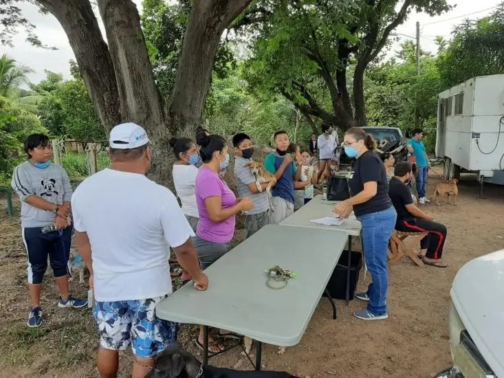 Invitan a la Campaña Masiva de Esterilizaciones Gratuita