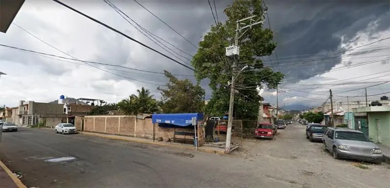 Tepic. Vecinos temen por su vida ante árbol que choca con cables de alta tensión en la H. Casas