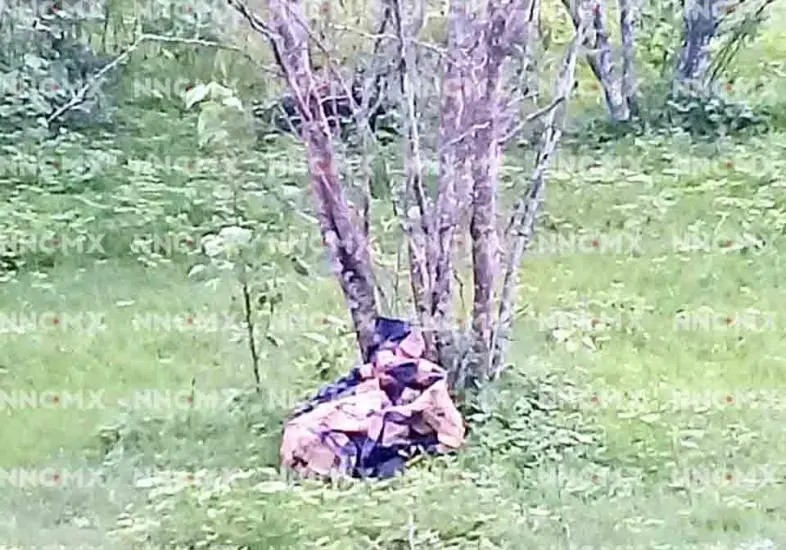 Localizan esqueleto humano