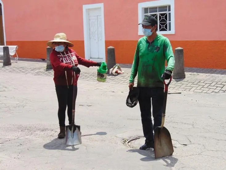 Tepic. Bachean calles en busca de recursos para reforestar todo el país
