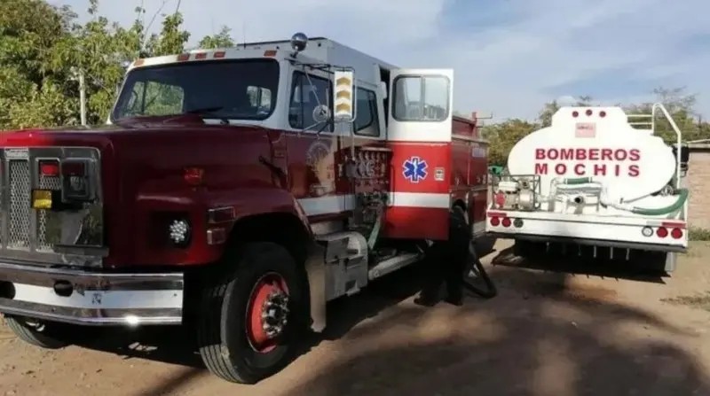 Sinaloa. Ataque de abejas deja seis menores heridos en El Carrizo
