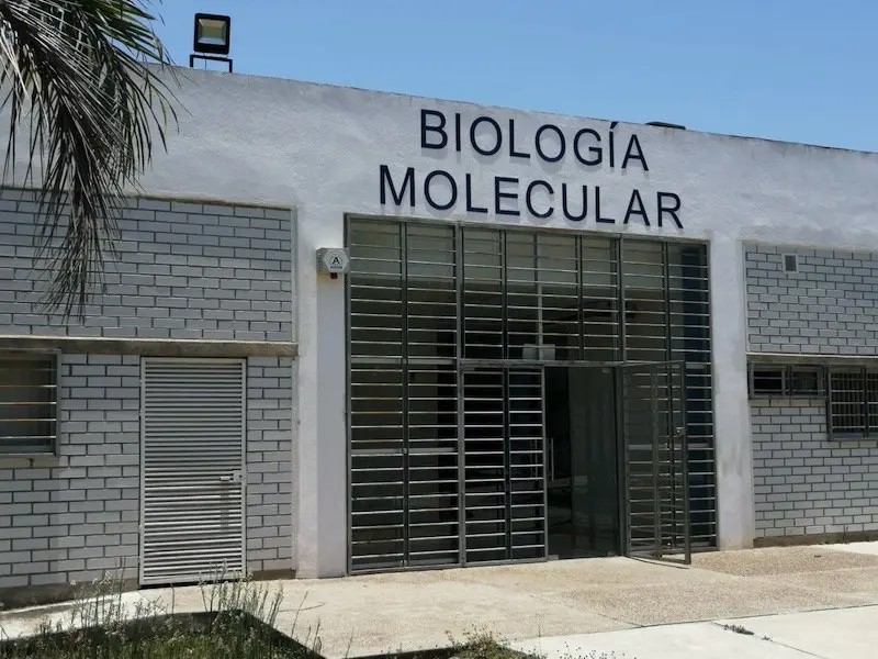 Obtiene CUCosta 1.5 mdp Para Reforzar Laboratorio de Biología Molecular-COVID