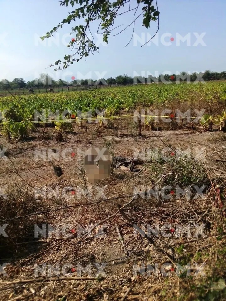 Villa Hidalgo. Encuentran a hombre muerto en una parcela