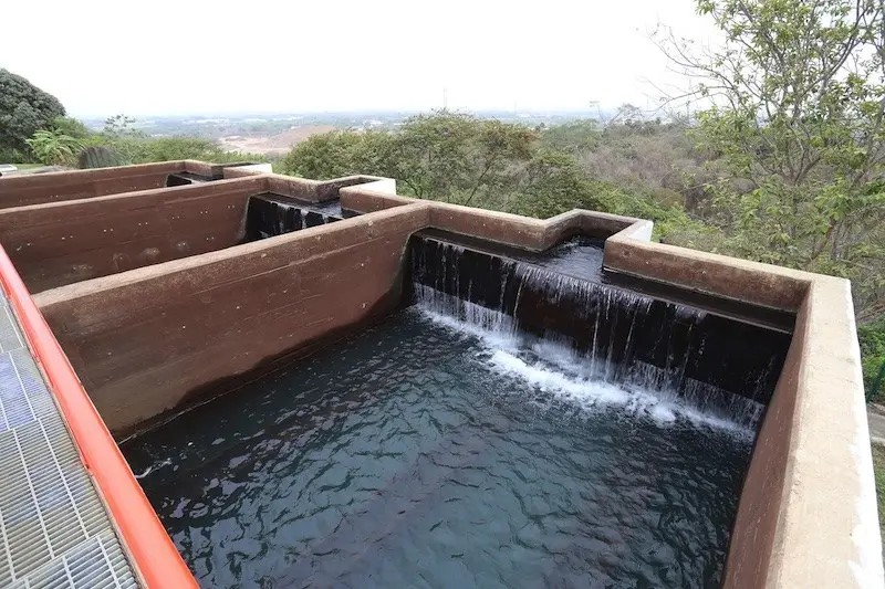 Se Prepara SEAPAL Para Mayor Consumo