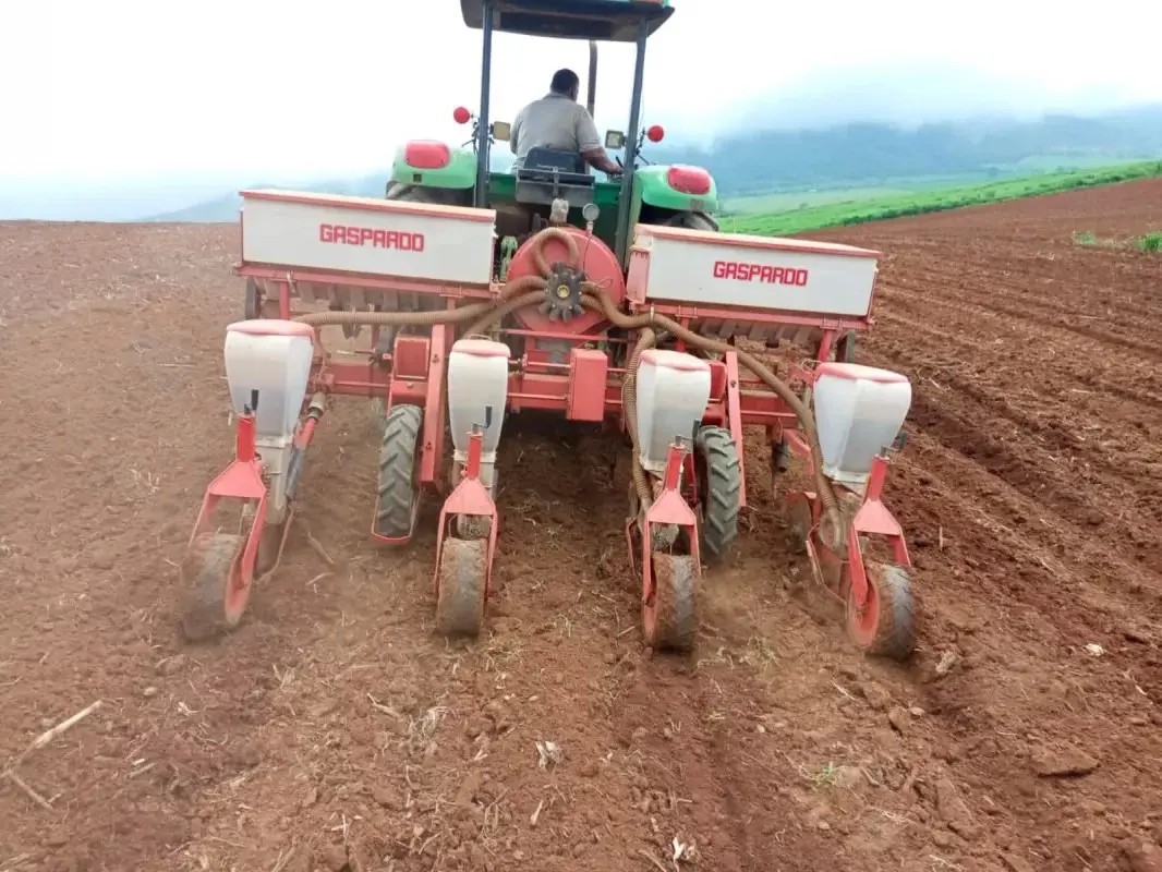 Las y los campesinos hoy siembran frijol negro con semilla certificada