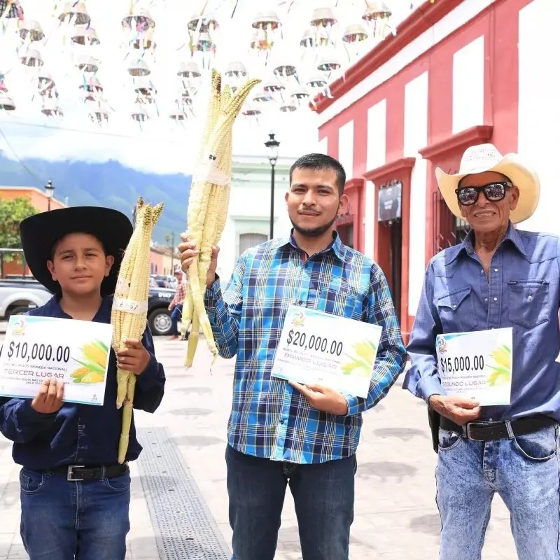 Concluye el concurso del elote más grande del mundo