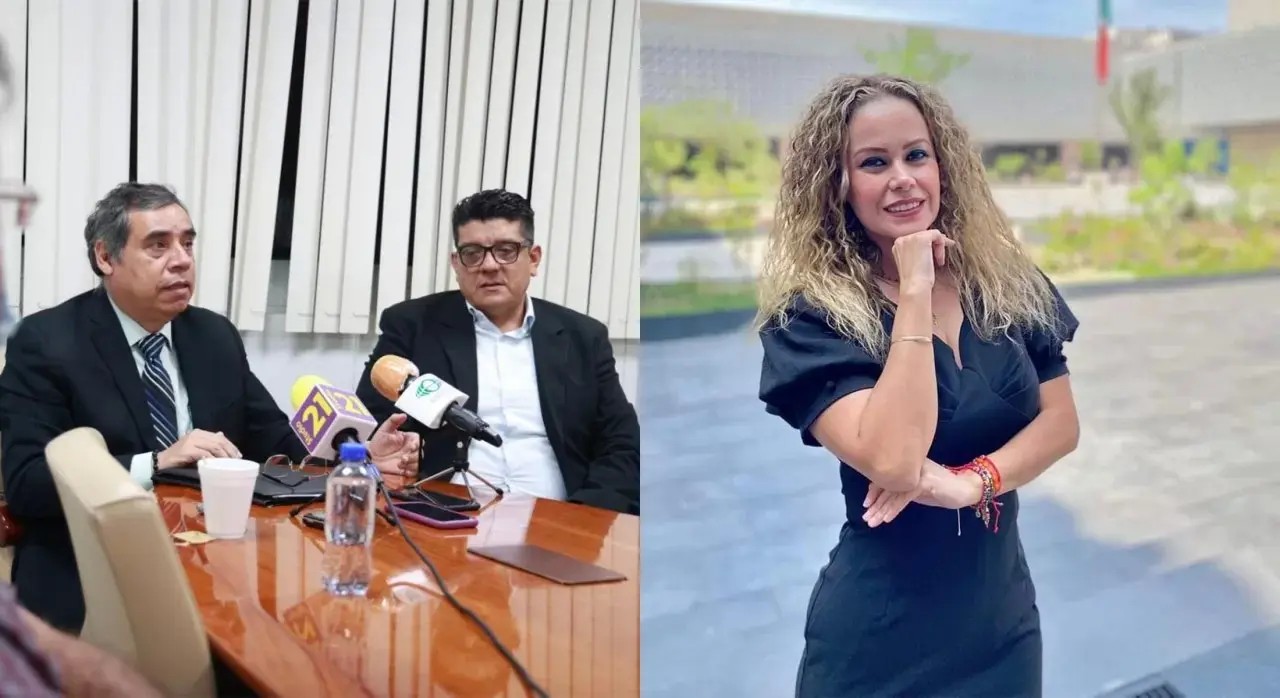 Suspenden a la próxima presidenta del Comité de Participación Ciudadana